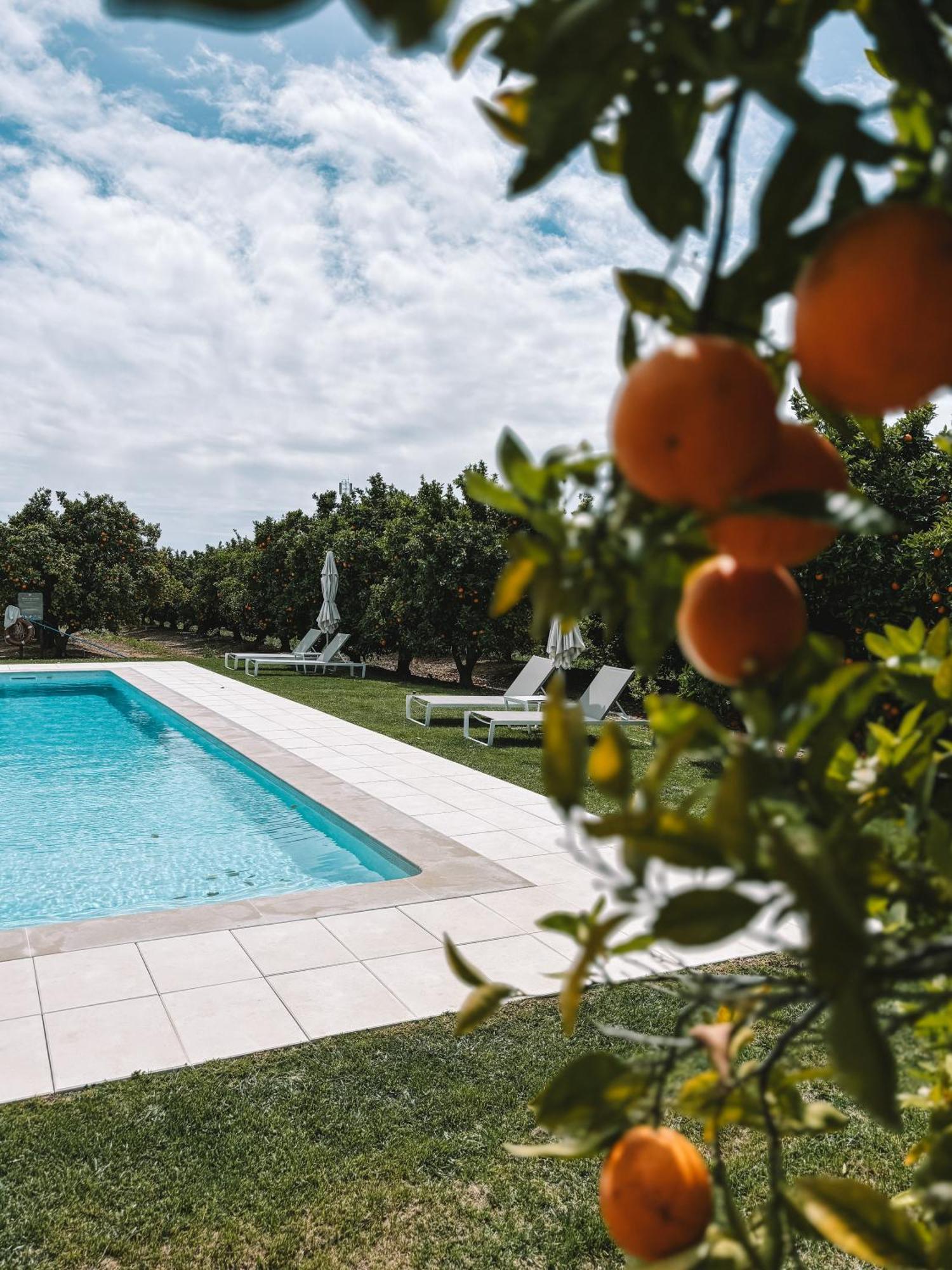 Вілла Quinta Dos Perfumes Тавіра Екстер'єр фото