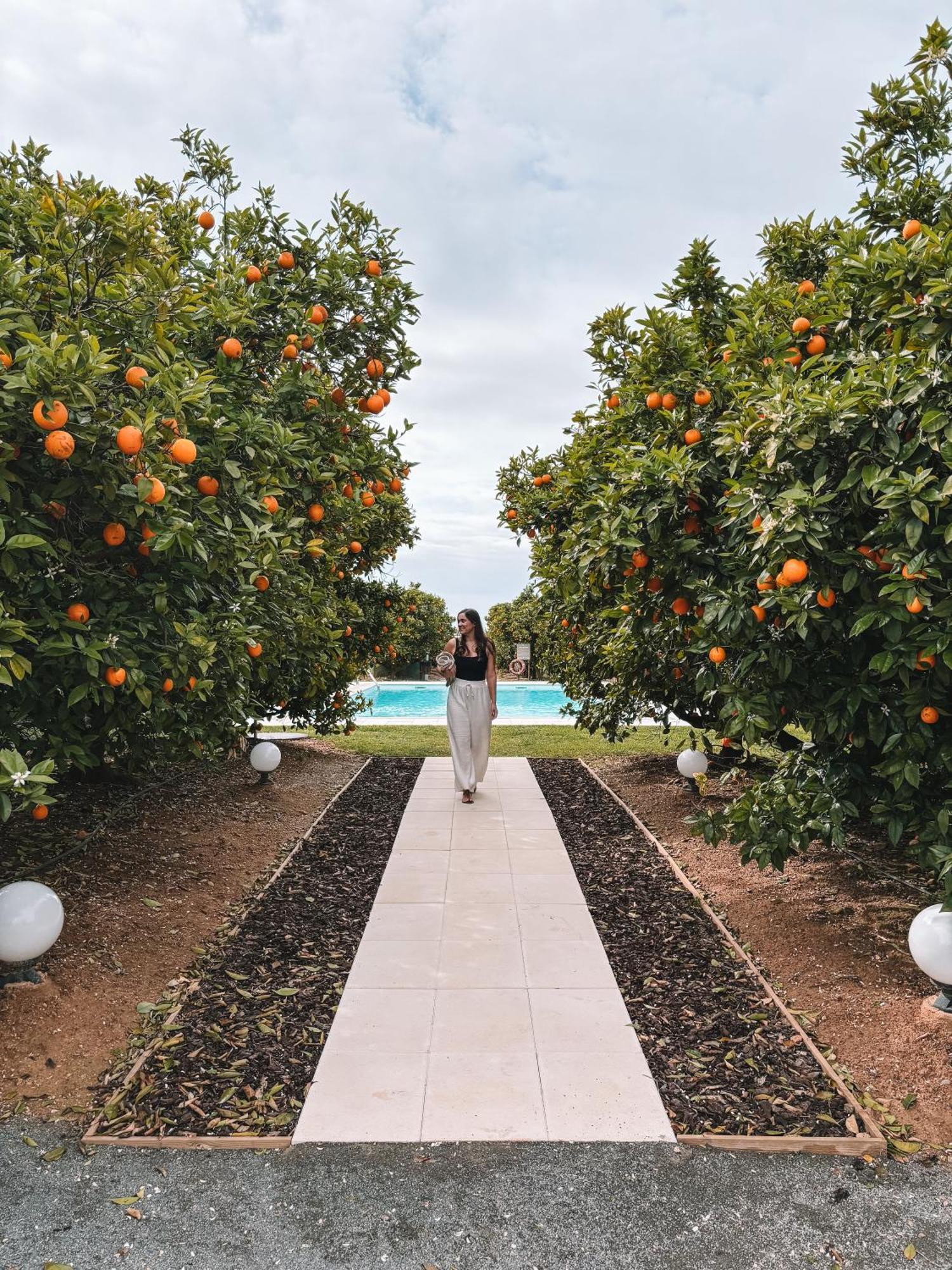 Вілла Quinta Dos Perfumes Тавіра Екстер'єр фото