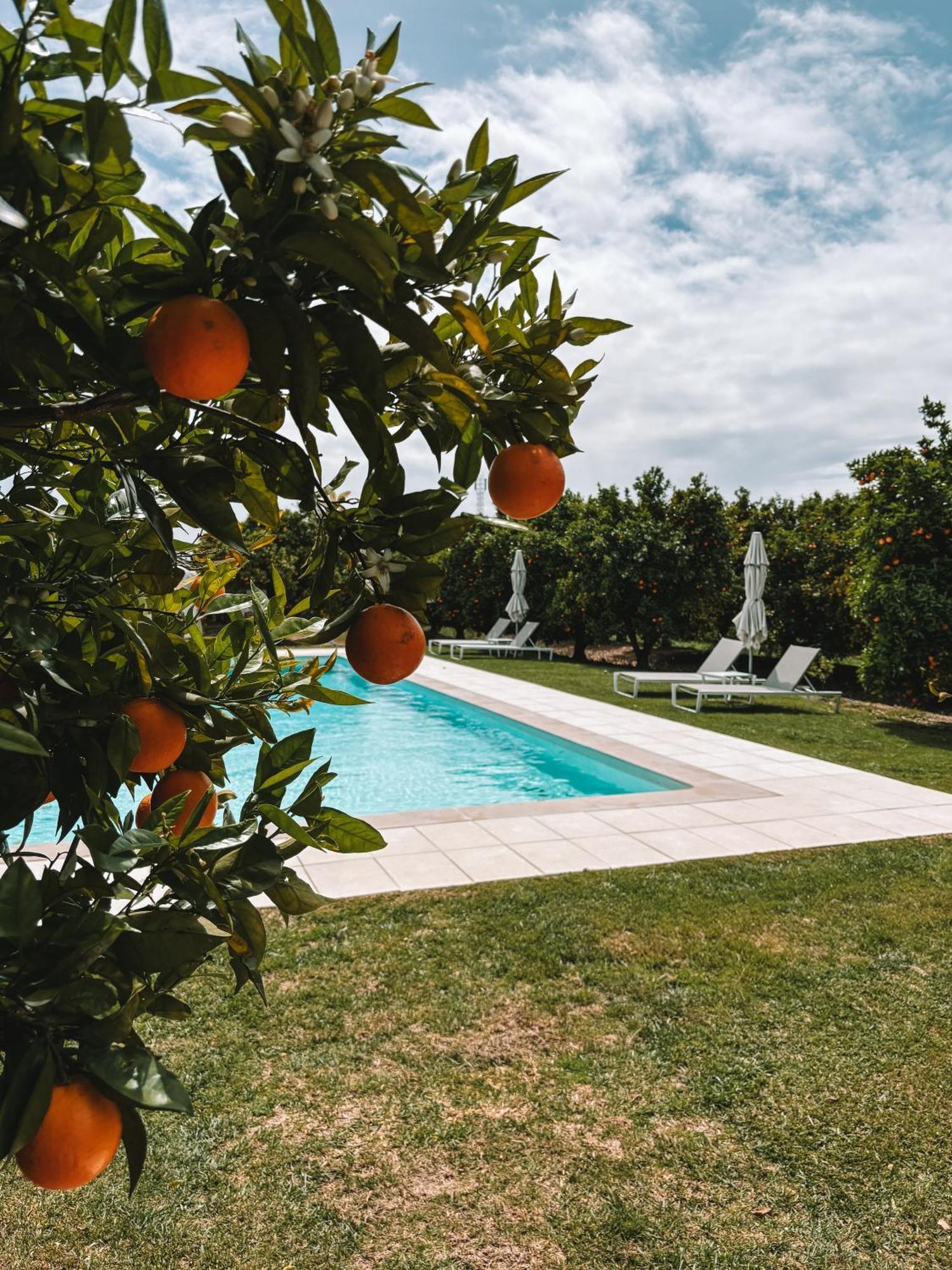 Вілла Quinta Dos Perfumes Тавіра Екстер'єр фото